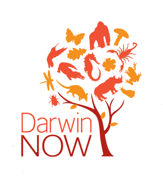 Darwin Now