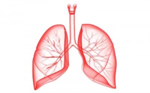 čišćenje pluća