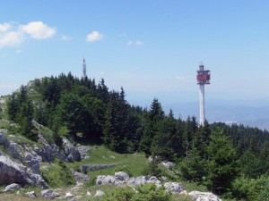 šuma, drvo, turizam, ekologija, Sarajevo, Trebević