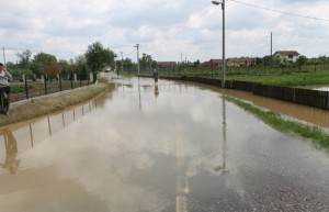 poplave, Bijeljina