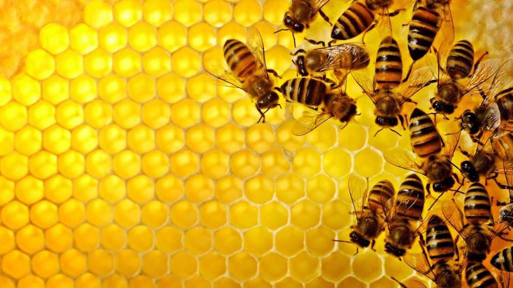 Propolis, pčele, med