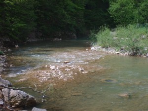  rijeka Misoča