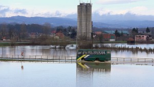 poplave, Srbija