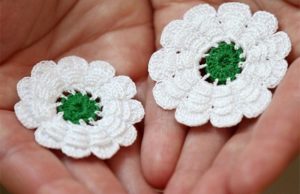 Srebrenički cvijet, Srebrenica