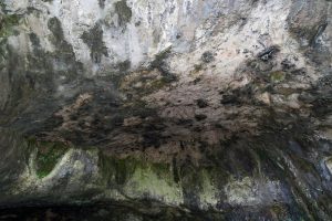 Hrustovačka pećina 
