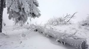 Bugarska, zima