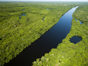 Brazil, Amazon
