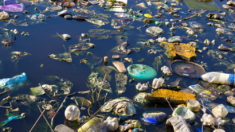 plastika, smeće, rijeka