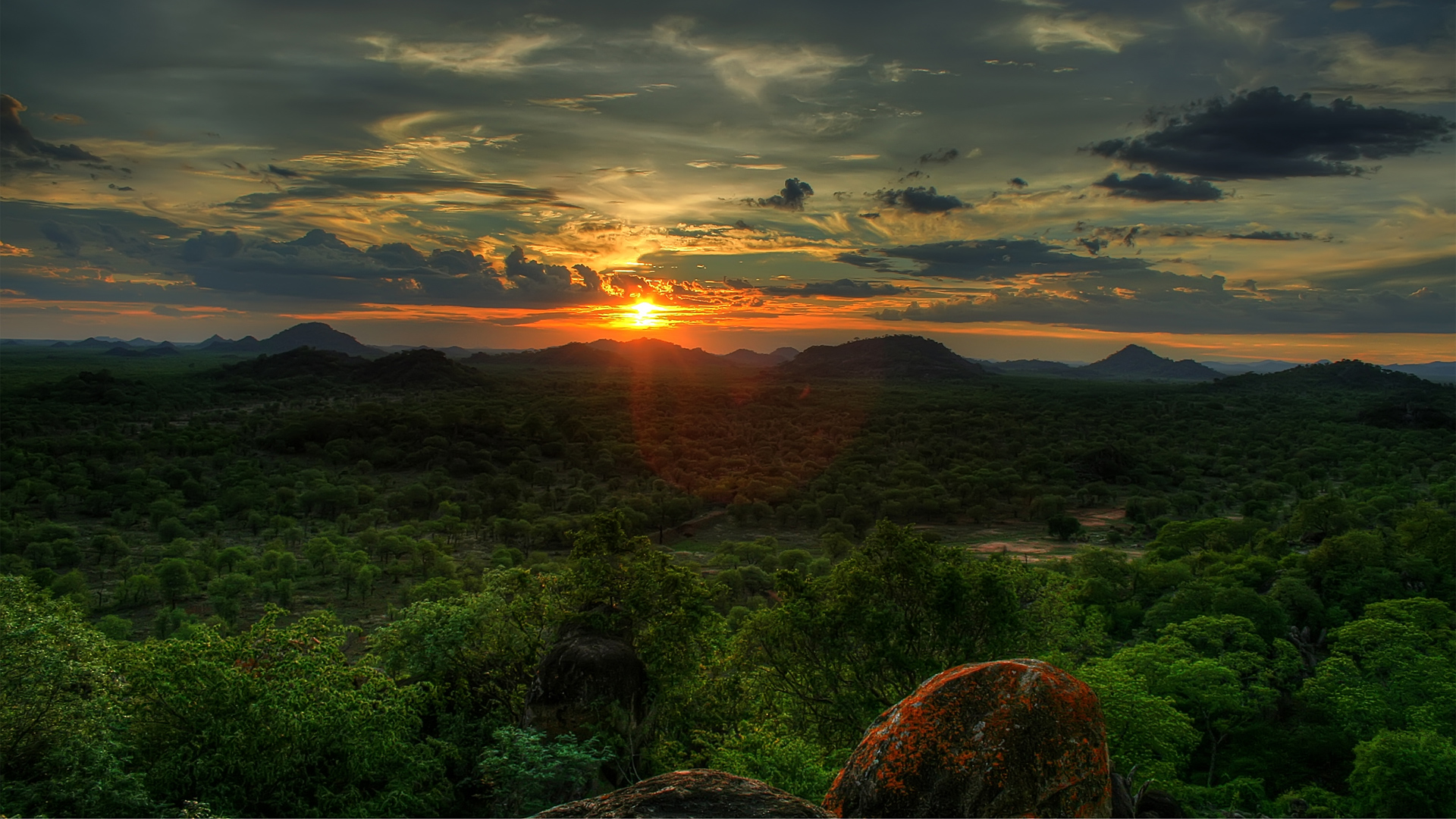 šuma, Afrika