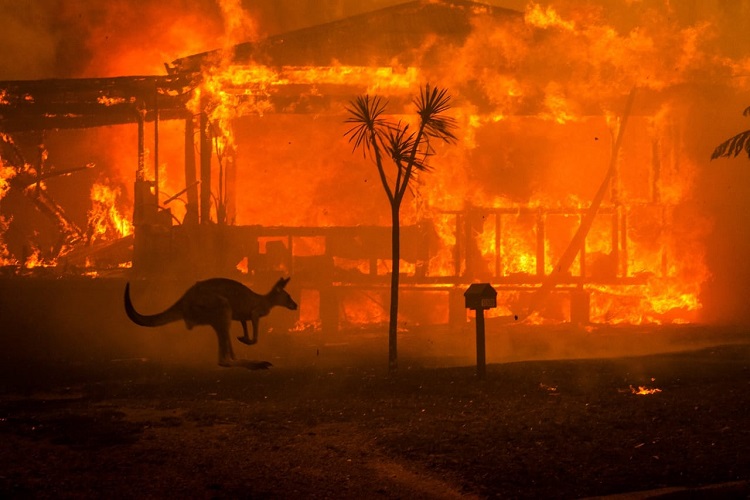 Australija, požar