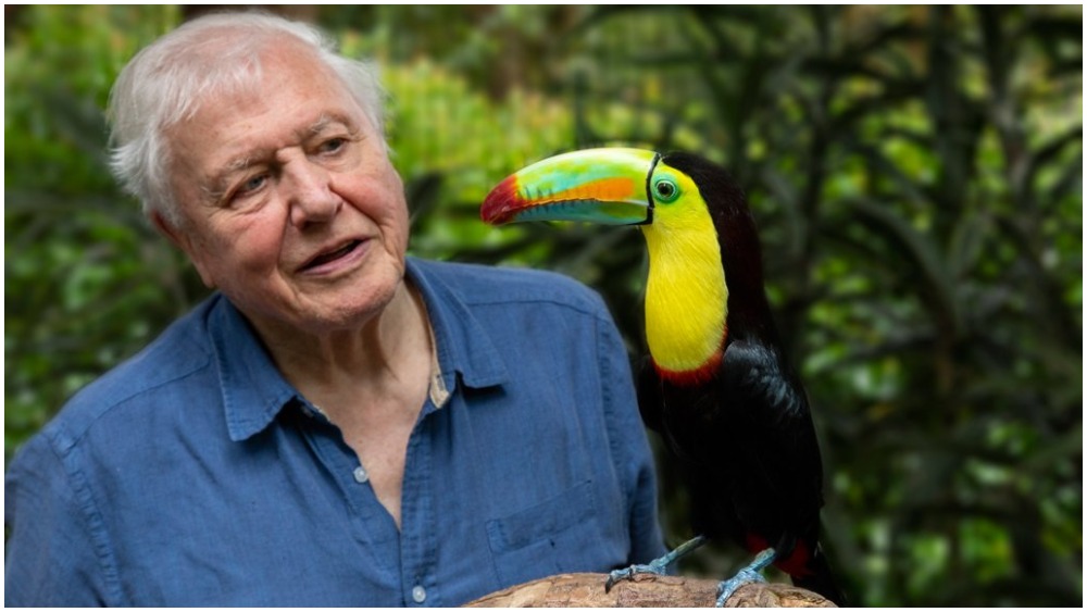 David Attenborough