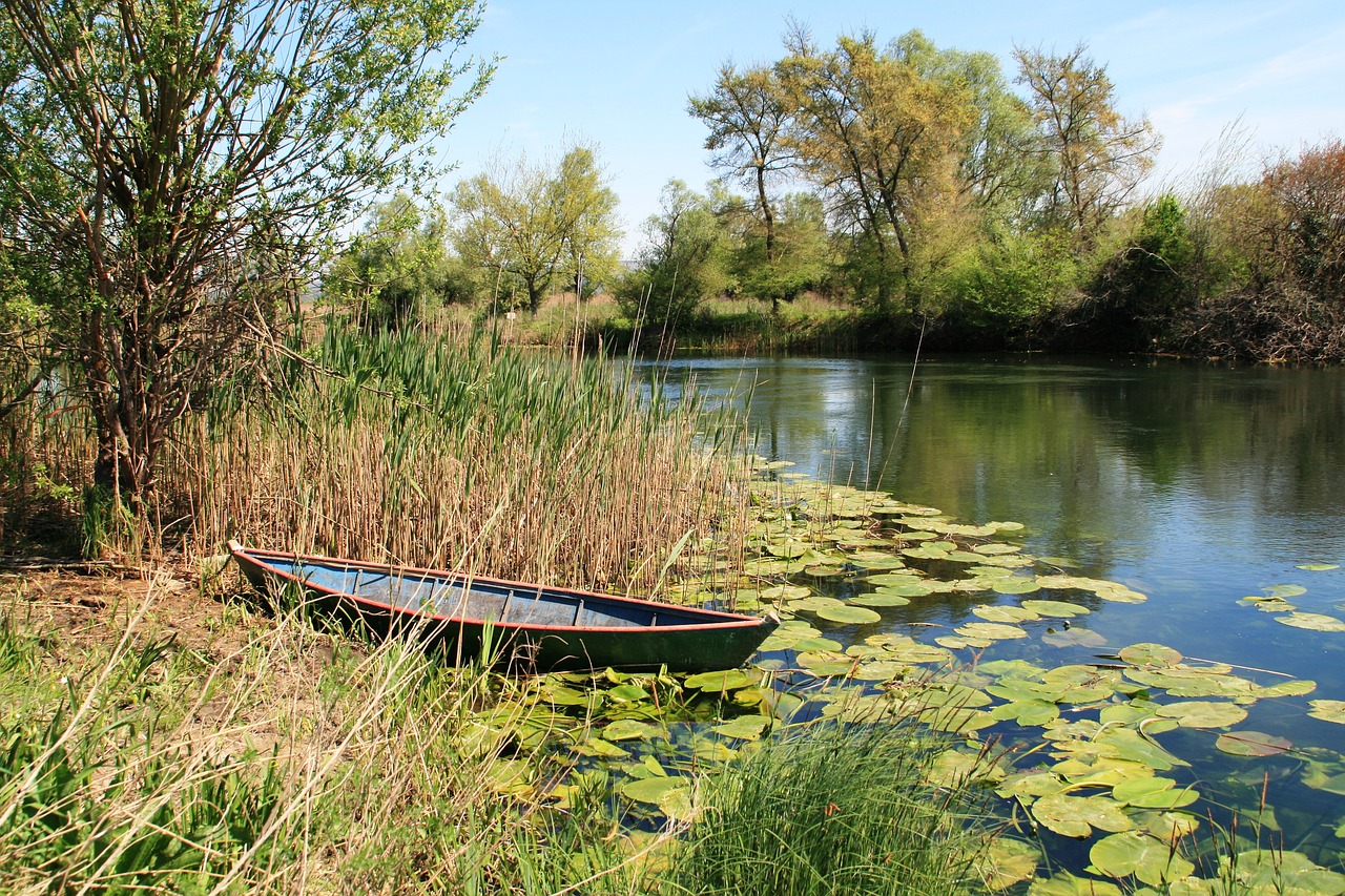 Hutovo blato, Pixabay