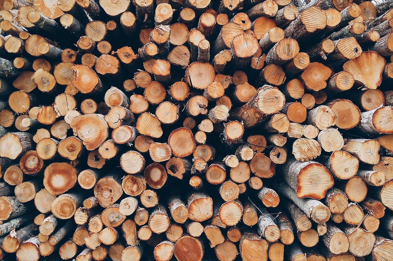 drva, ogrijev, pixabay
