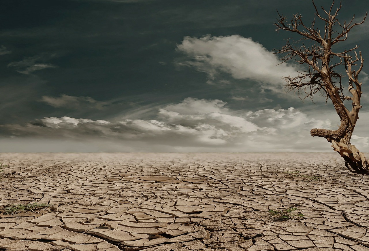 suša, pustinja, pixabay